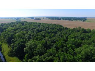 Whitley County, Indiana farmland - LAND AUCTION - 156+/- ACRES OFFERED IN 5 TRACTS IN WHITLEY COUNTY, INDIANA